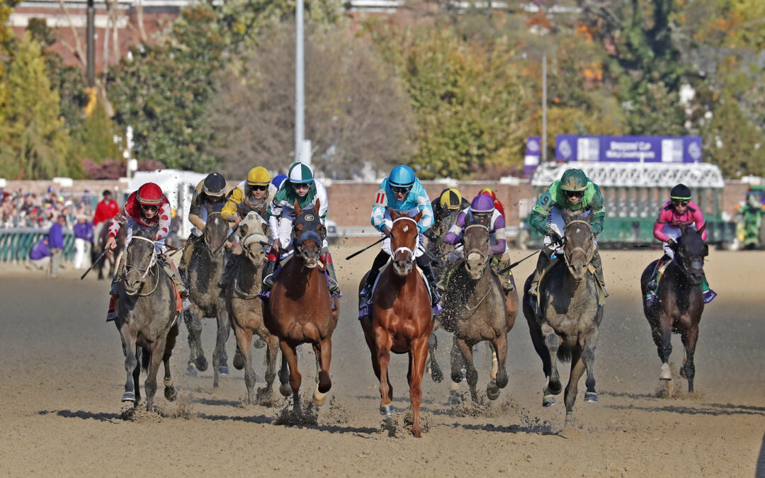 Excitement rising as Breeders’ Cup looms large